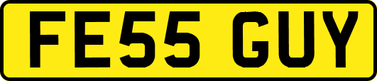 FE55GUY