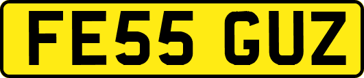 FE55GUZ