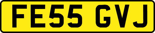 FE55GVJ