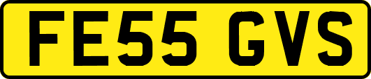FE55GVS
