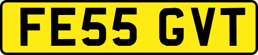 FE55GVT