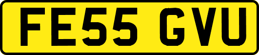 FE55GVU