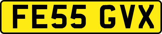 FE55GVX