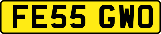 FE55GWO