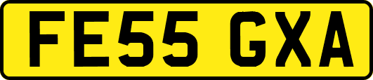 FE55GXA