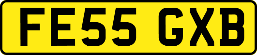 FE55GXB