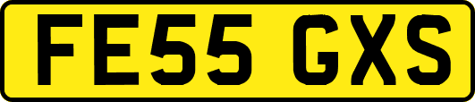 FE55GXS