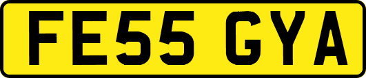 FE55GYA