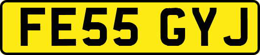 FE55GYJ