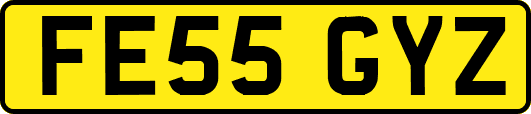 FE55GYZ