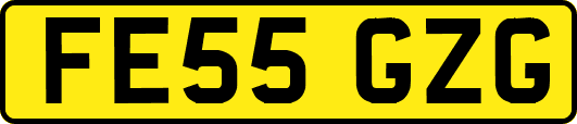 FE55GZG
