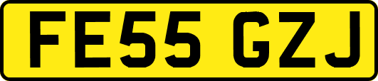 FE55GZJ
