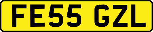 FE55GZL