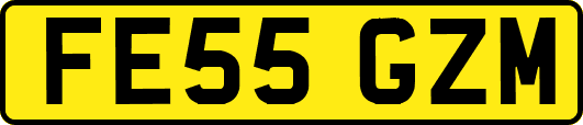 FE55GZM