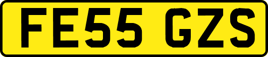 FE55GZS