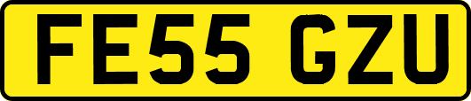 FE55GZU