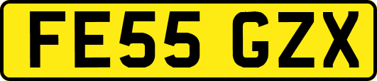 FE55GZX