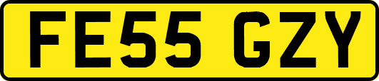 FE55GZY