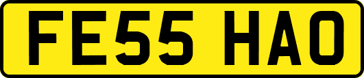 FE55HAO