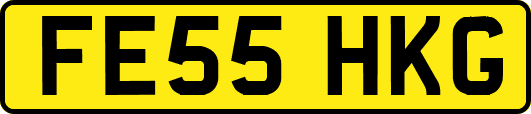 FE55HKG