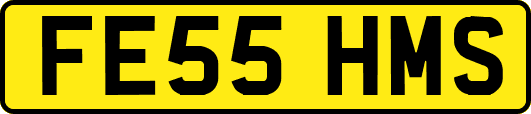 FE55HMS