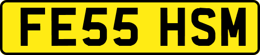 FE55HSM
