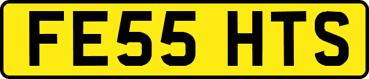 FE55HTS