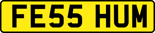 FE55HUM