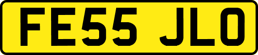 FE55JLO