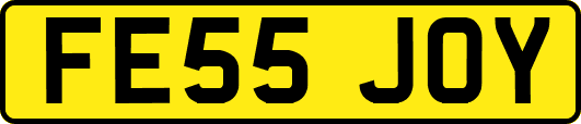 FE55JOY