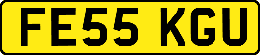 FE55KGU