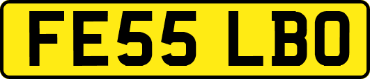 FE55LBO
