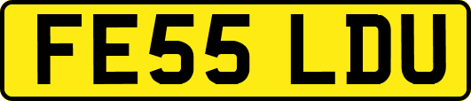 FE55LDU