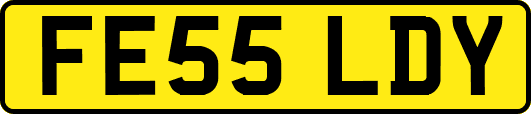 FE55LDY