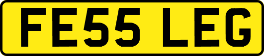 FE55LEG