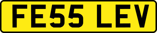 FE55LEV
