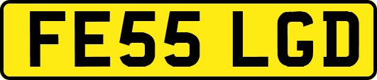 FE55LGD