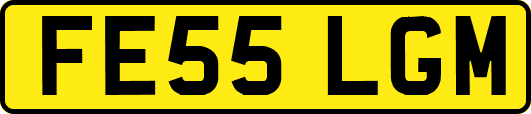 FE55LGM