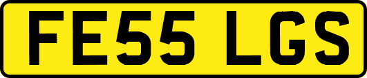 FE55LGS