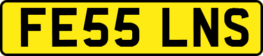FE55LNS