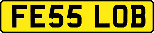 FE55LOB
