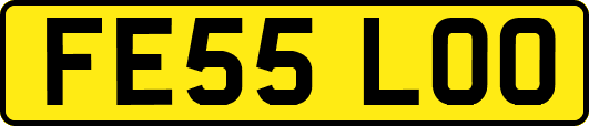 FE55LOO