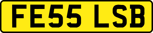 FE55LSB