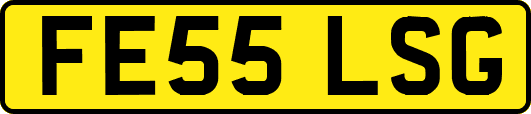 FE55LSG