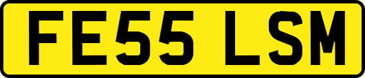FE55LSM