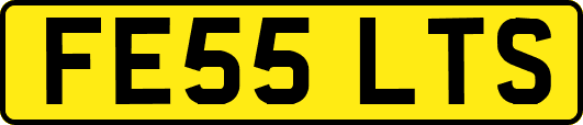 FE55LTS
