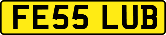FE55LUB