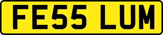 FE55LUM