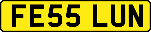 FE55LUN