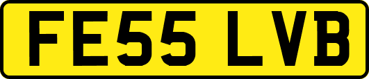 FE55LVB